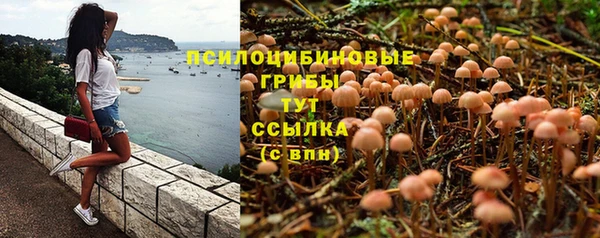 прущая мука Гусев