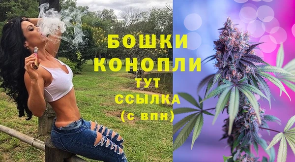 прущая мука Гусев