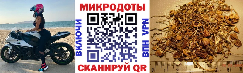 Галлюциногенные грибы MAGIC MUSHROOMS  Купить  Карабулак 